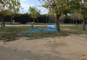 Sòl urbà en venda a la España, Malgrat de Mar, ref.: TR347434 foto