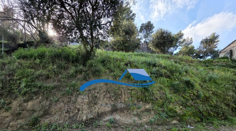 Barcelona - Palafolls - 1300m2