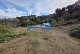 Sant Genís de Palafolls 990&nbsp;м²