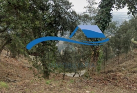 Sant Genís de Palafolls 832&nbsp;m² 