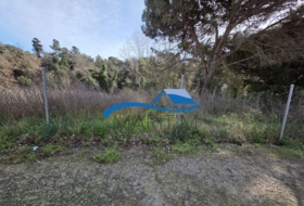 Tordera 791&nbsp;m² 
