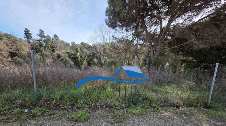 Barcelona - Tordera - 791m2