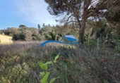 Parcela urbanizable en venta en Tordera ref: TR382533 foto