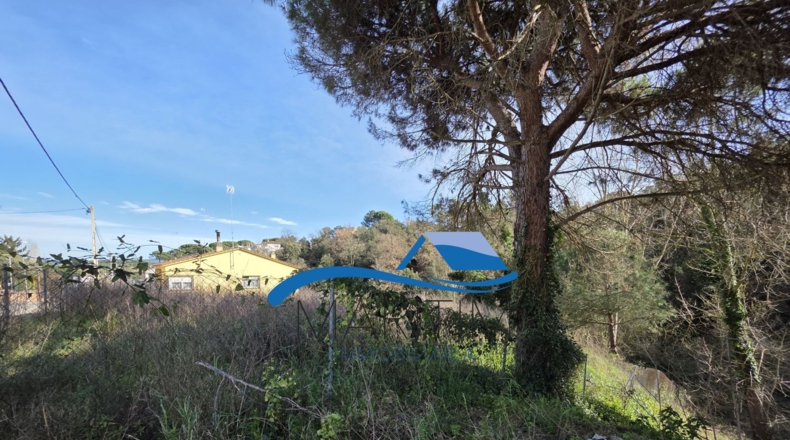 Barcelona - Tordera - 791m2