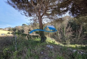 Tordera 791&nbsp;m² 