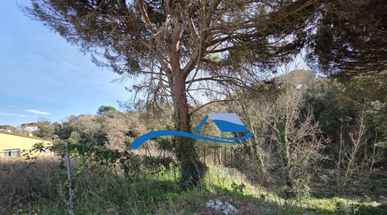 Barcelona - Tordera - 791m2