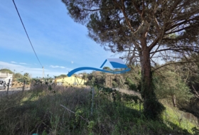 Tordera 791&nbsp;m² 
