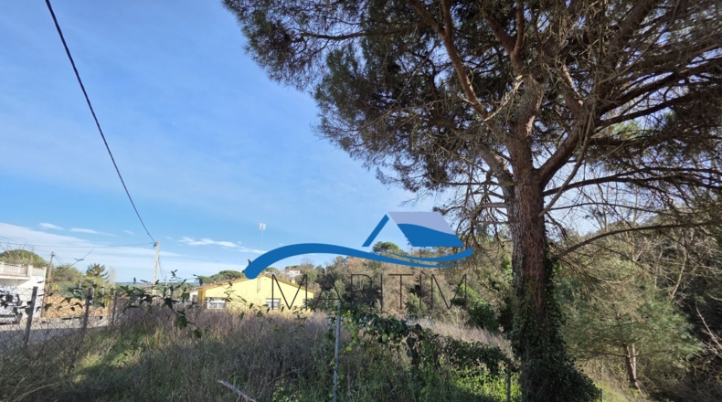 Barcelona - Tordera - 791m2
