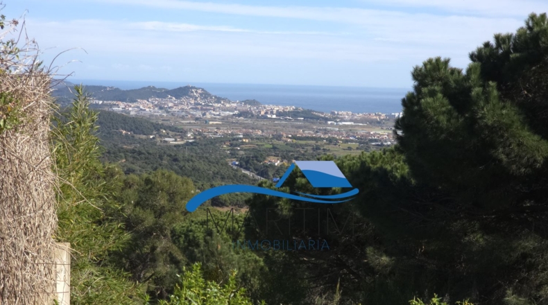 Barcelona - Palafolls - 917m2