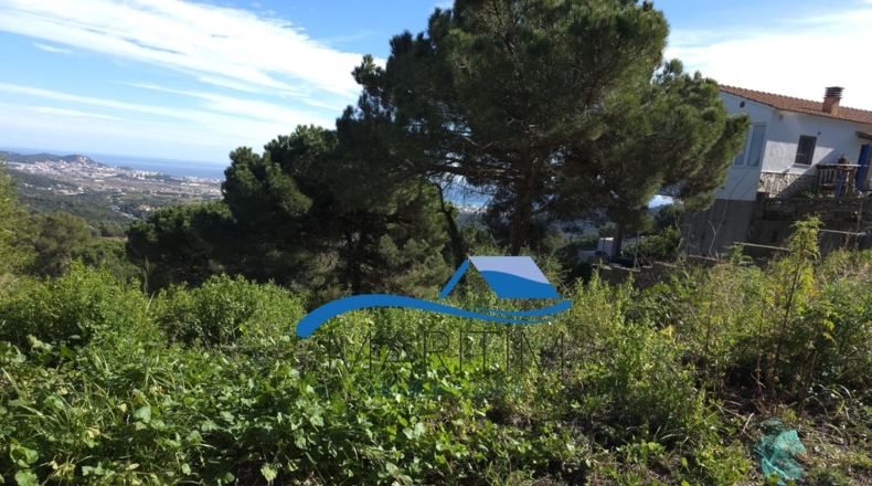 Barcelona - Palafolls - 917m2
