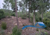 Parcel·la urbanitzable en venda a Lloret de Mar ref.: TR382087 foto