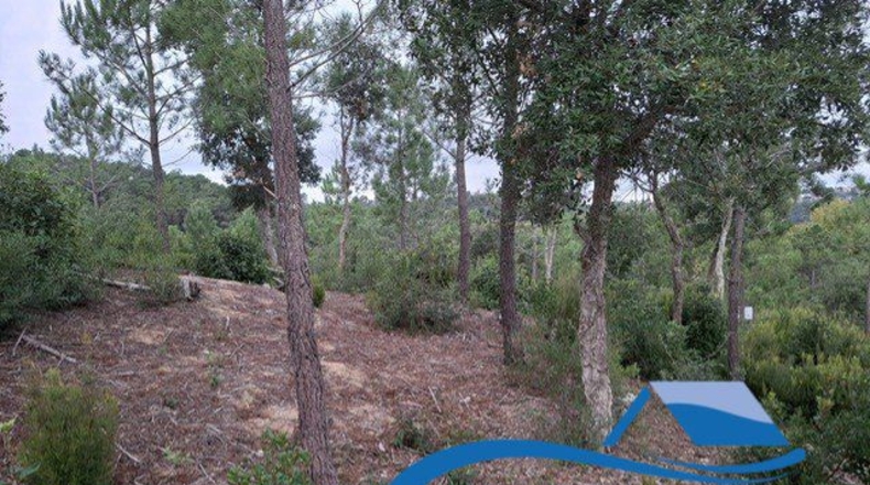 Gerona - Lloret de Mar - 1402m2