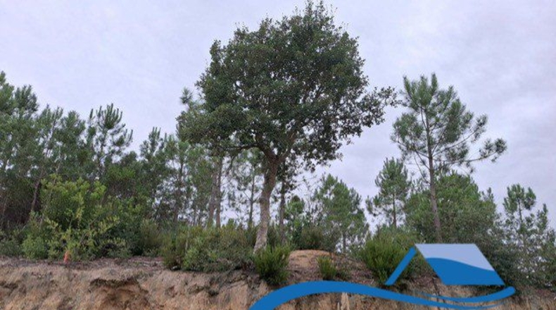 Gerona - Lloret de Mar - 1402m2