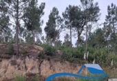 Parcel·la urbanitzable en venda a Lloret de Mar ref.: TR382087 foto
