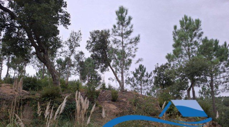 Gerona - Lloret de Mar - 1402m2