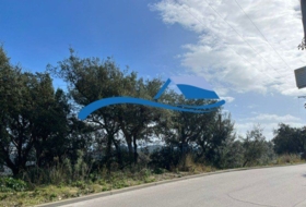 Sant Genís de Palafolls 830&nbsp;m² 