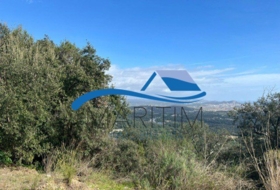 Sant Genís de Palafolls 830&nbsp;m² 