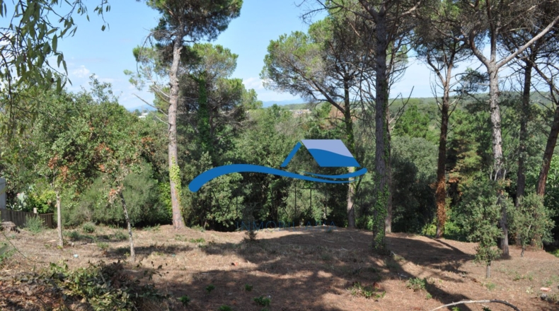 Barcelona - Tordera - 584m2