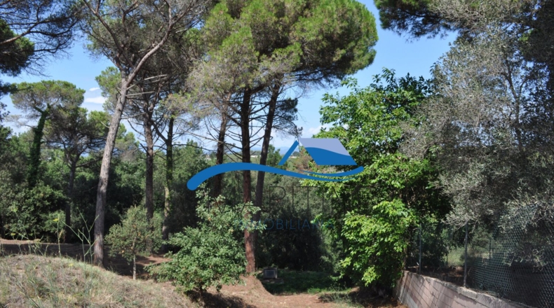 Barcelona - Tordera - 584m2