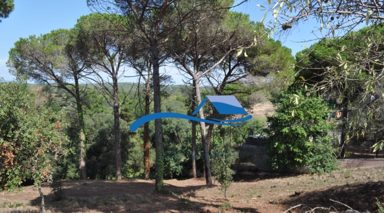 Barcelona - Tordera - 584m2