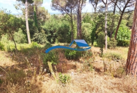 Foto 15