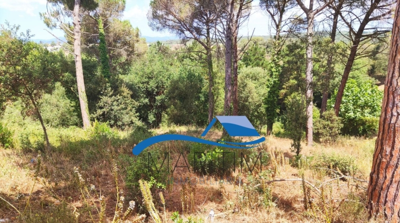 Barcelona - Tordera - 584m2