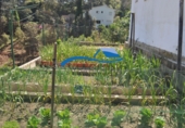 Casa de poble en venda a Lloret de Mar ref.: TR322475 foto