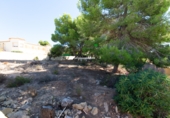 Terreny no urbanitzable en venda a Alacant ref.: TR183279 foto