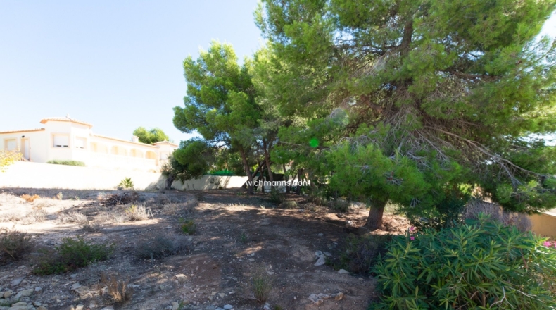 Alicante - Pinar del Abogat - 800m2