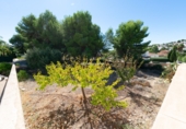 Terreny no urbanitzable en venda a Alacant ref.: TR183279 foto