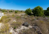 Terreny no urbanitzable en venda a Alacant ref.: TR183278 foto