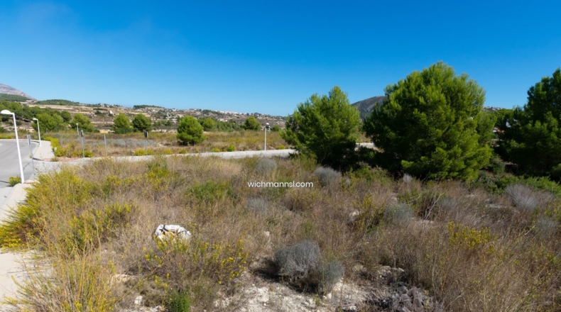 Alicante - Pinar del Abogat - 800m2