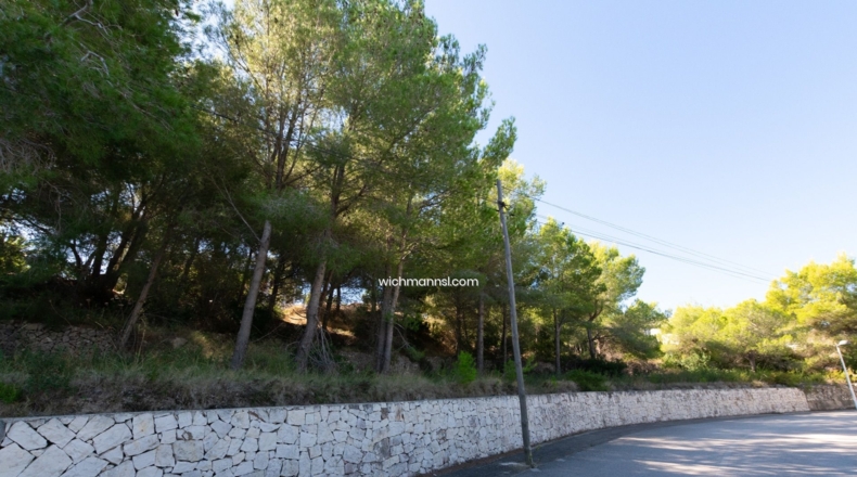 Alicante - Pinar del Abogat - 1000m2