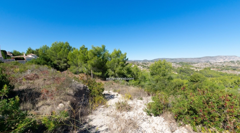 Alicante - Pinar del Abogat - 1050m2