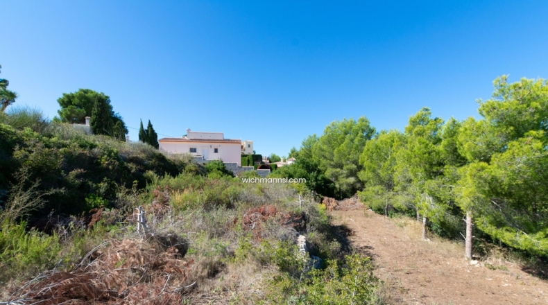 Alicante - Pinar del Abogat - 1050m2