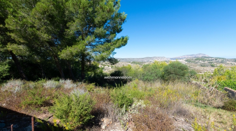Alicante - Pinar del Abogat - 800m2