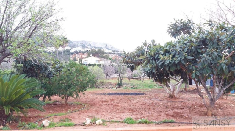 Alicante - Dénia - 300m2
