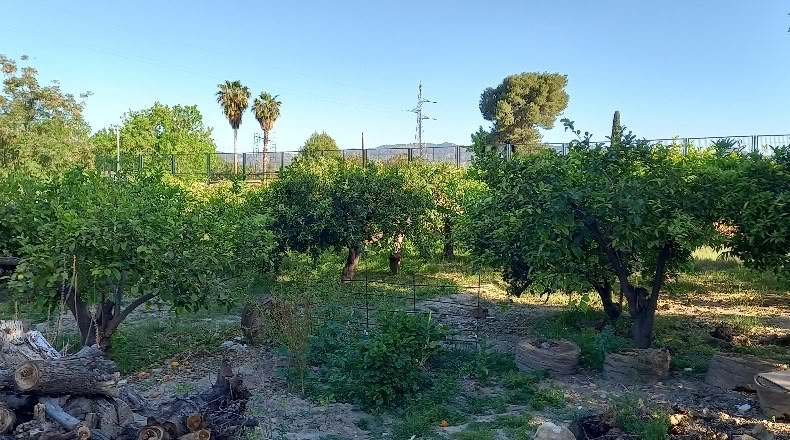 Мурсия - Murcia - 4762m2