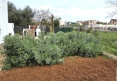 Xalet independent amb terreny en venda a la España, Dénia, ref.: TR405065 foto