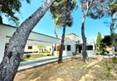 Xalet independent amb terreny en venda a la España, Dénia, ref.: TR233732 foto