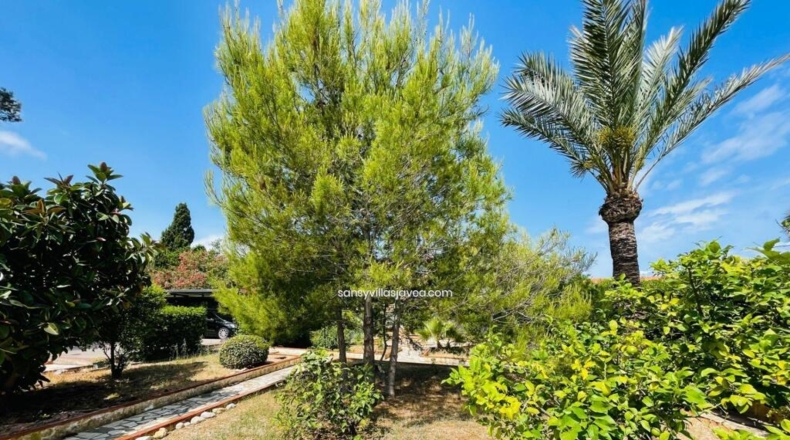 Alicante - Denia - 710m2