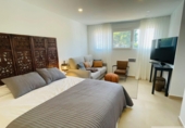 Detached villa with land for sale on España, Dénia, ref: TR233719 photo