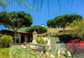 Detached villa with land for sale on España, Calpe, ref: TR233623 photo