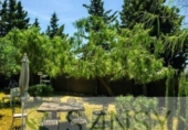 Detached villa with land for sale on España, Calpe, ref: TR233623 photo