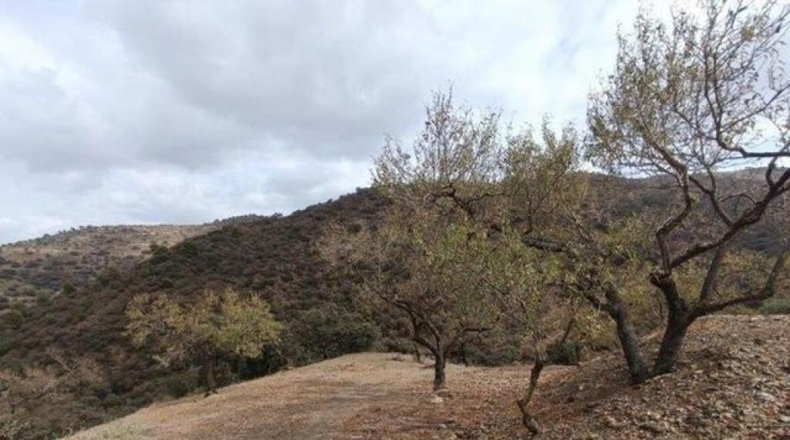 Malaga - Casabermeja - 8777m2