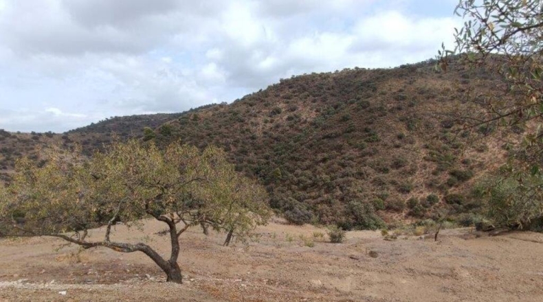 Malaga - Casabermeja - 8777m2