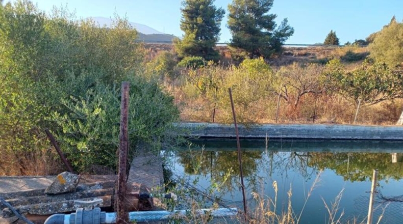 Málaga - Estepona - 20000m2