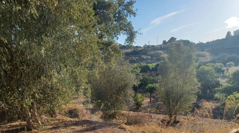 Málaga - Estepona - 20000m2