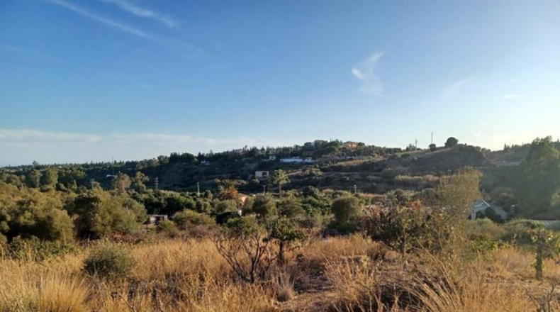 Málaga - Estepona - 20000m2