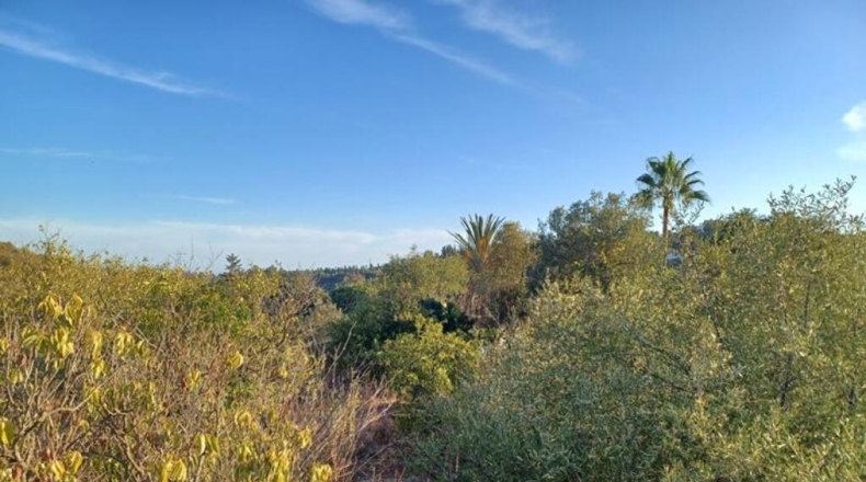 Málaga - Estepona - 20000m2